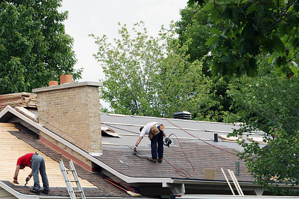 Best Roof Maintenance Services  in Shanor Northvue, PA