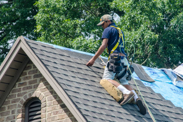 Roof Waterproofing Services in Shanor Northvue, PA
